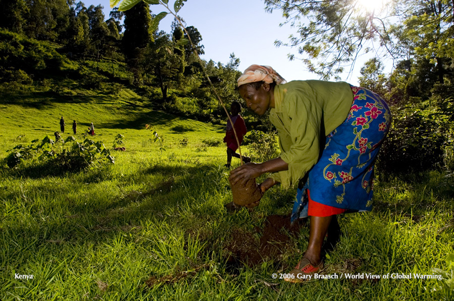 Green Belt Movement women plant trees and work in nursery of seedlings near Katarina, Kenya 