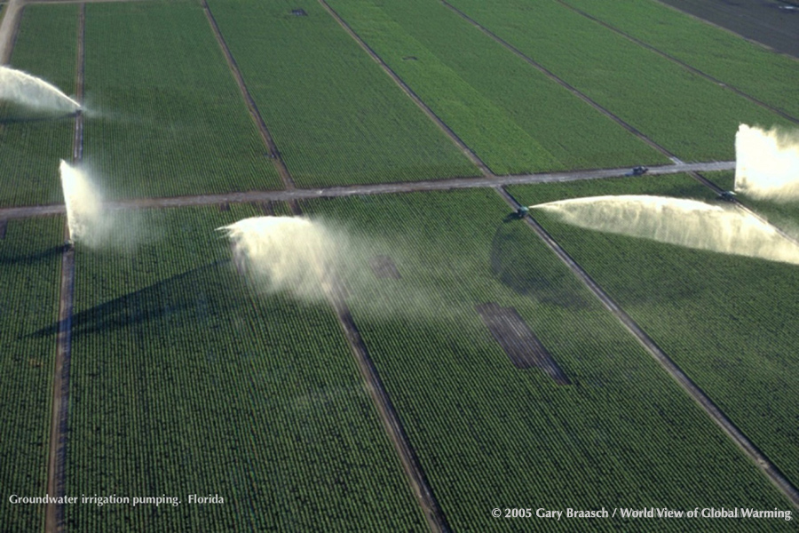 Irrigation of tomato and vegetable fields near Everglades National Park, Florida, conflict of food production and ground water conservation for Everglades. 