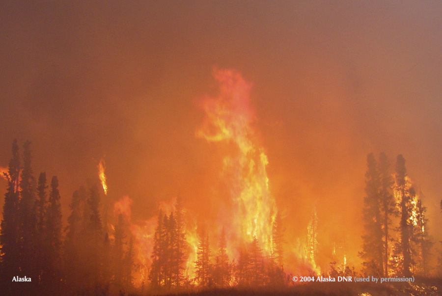 &quot;Chicken&quot; fire near Tok Near Tok, Alaska, 2004, a year of record fires in this State. AK DNR photo by Clinton NorthwayDepartment of Natural Resources, Division of Forestry