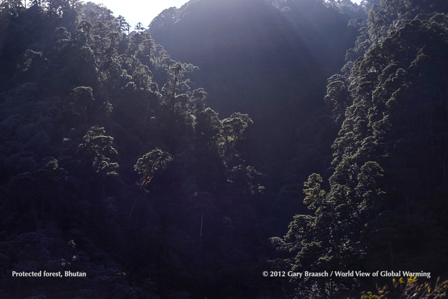 Bhutan's protected forests -- by constitution more than 60 percent of national area -- are key to its ecological status and positive carbon balance.
