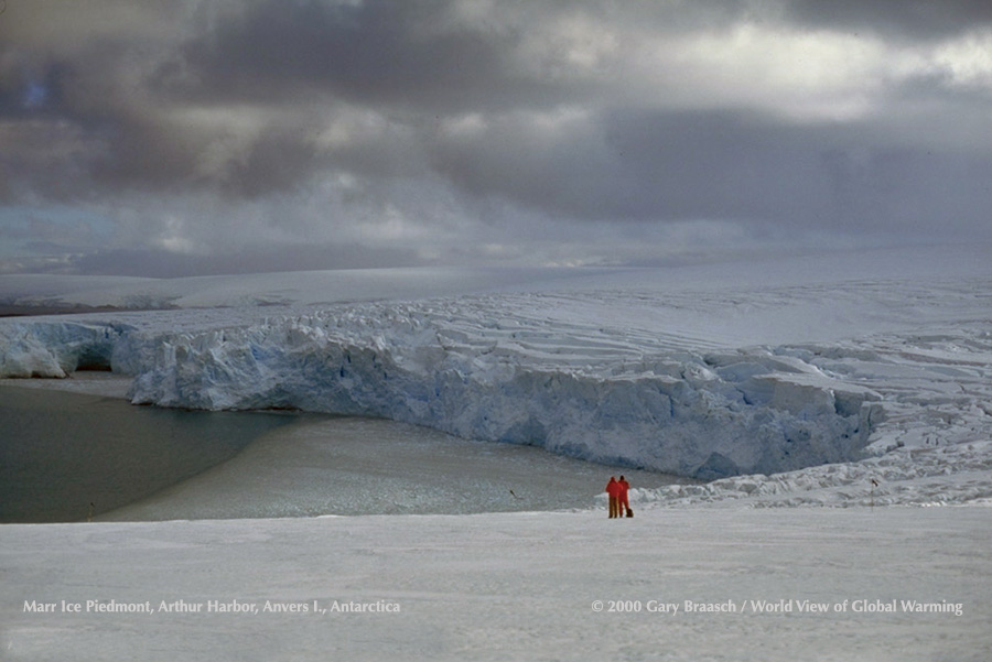 Marr Glacier, Anvers Island, Antarctica, calving into Arthur Harbor, one of hundreds of land glaciers receding or flowing faster in the Peninsula