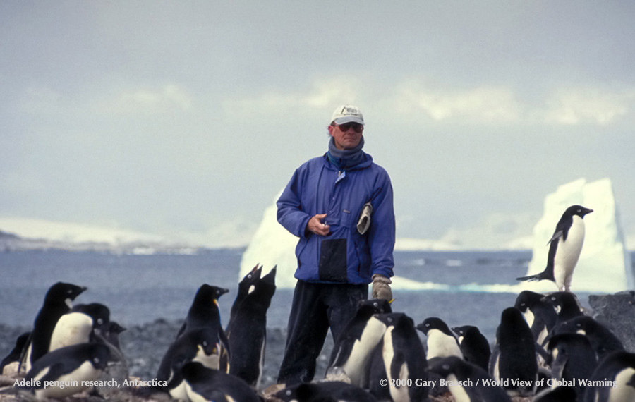 On an ilet near the US Palmer Station on Anvers Island, Antarctic Peninsula, ecologist Bill Fraser counts Adelie penguins, which are threatened by changes in summer sea ice.