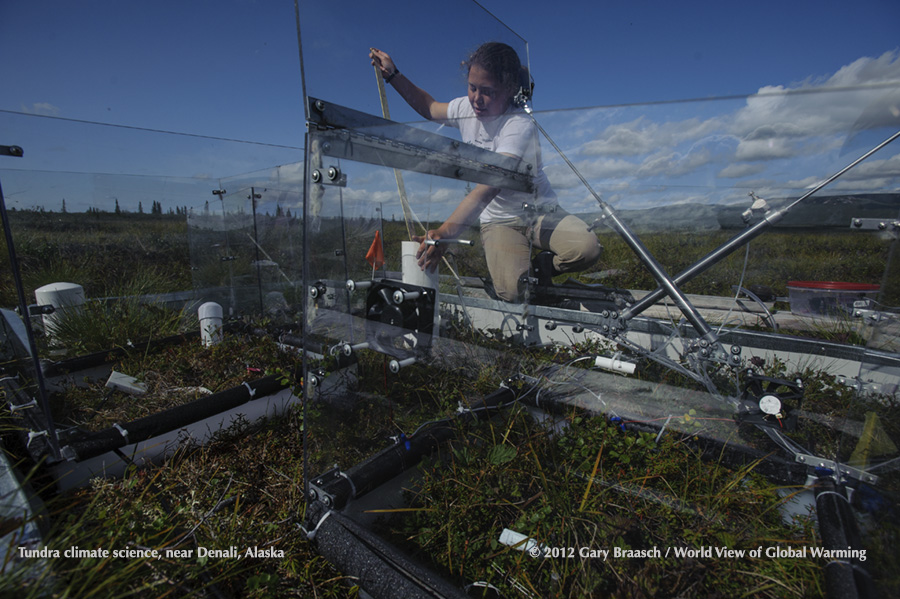 Study to understand the mechanisms for respiration, uptake and release of CO2, Oxygen, water and nutrients in tundra near Mt McKinley/Denali National Park Alaska. 