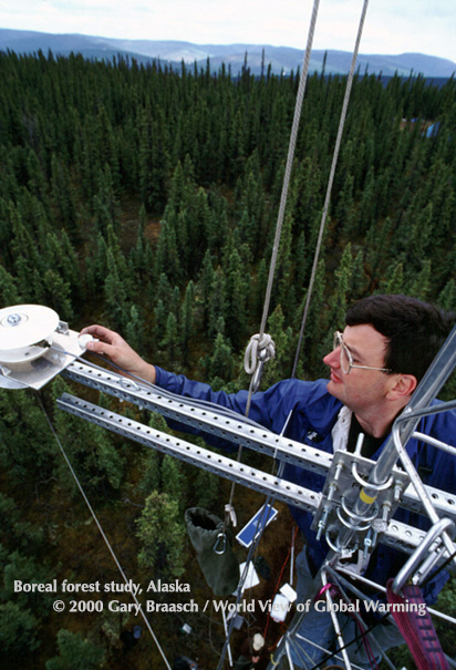 Meteorologist Scott Chambers installing solar radiation sensor tower. Boreal forest near Fairbanks, Alaska