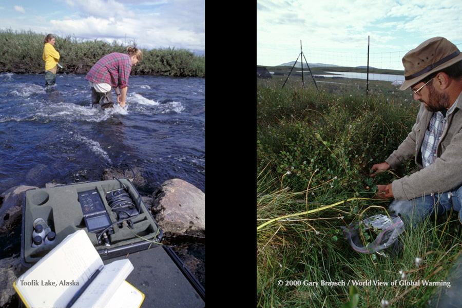 Marine Biological lab sample of Kuparuk River; Gus Shaver measures added growth of tundra plants, Toolik Lake, Alaska. 