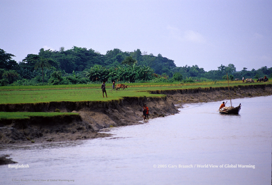 Eroding shore of Bhola Island, below Dhaka on Meghna River, Bangladesh, showing how little sea level rise will flood fields.