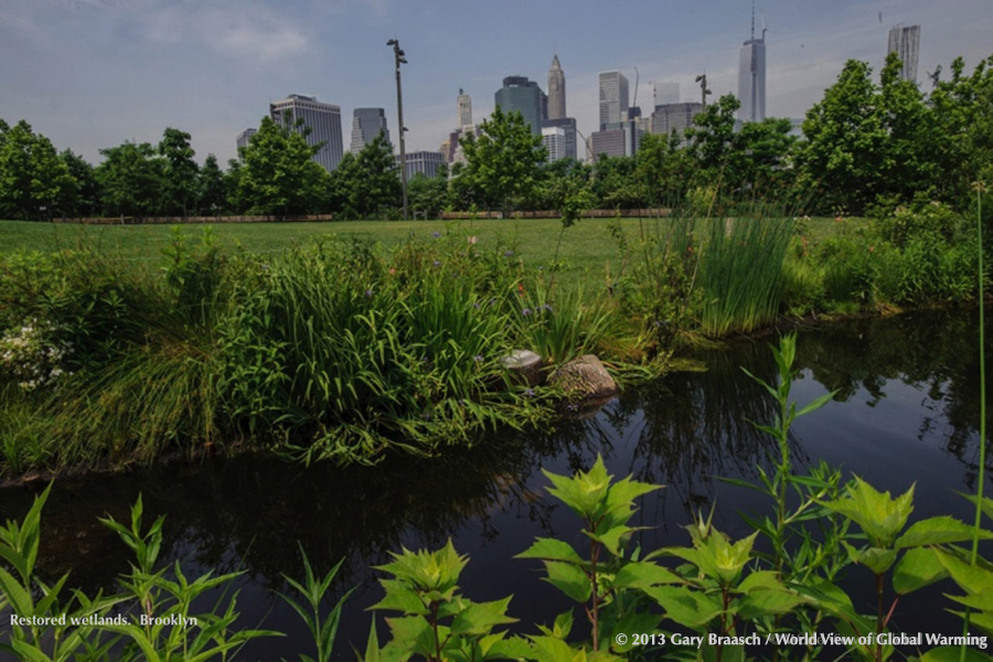 Cities Communities climate. New York City adaptation. Brooklyn Bridge Park new wetlands.