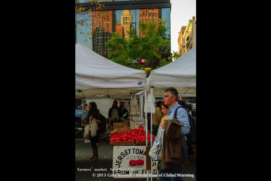 Farmers' market in Union Square, New York City.