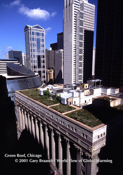 Roof garden meadow on Chicago City Hall, built in 2000 is 20,000 sq ft and includes more than 100 plant varieties with emphasis on native plants.