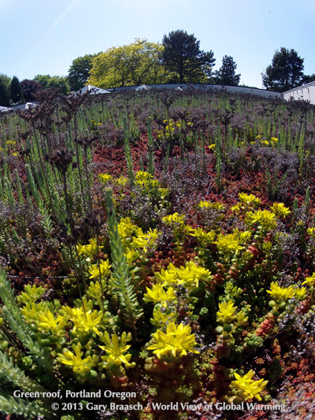 Cities Communities climate. Adaptation efficiency green roof Portland Oregon.