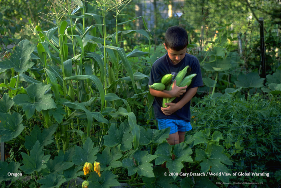 Cities Communities climate. Adaptation Community and family gardens.