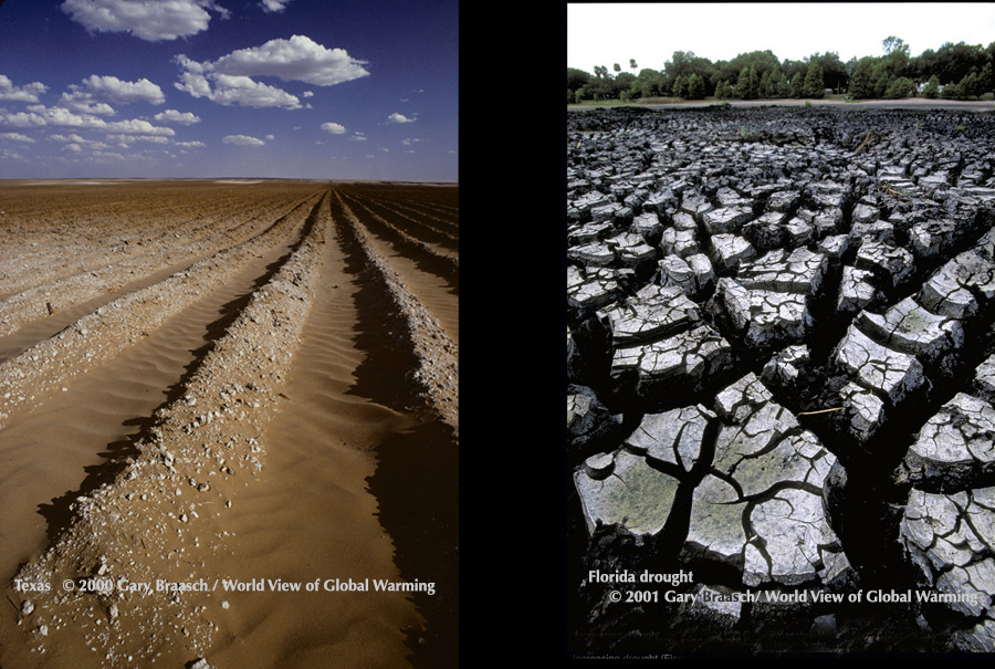 Dry cotton field Texas near Big Springs; dried lake in Orlando Florida, during regional droughts.