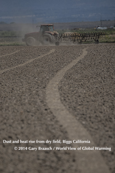 During the California Drought, farmers still prepared fields with liquid fertilizer for vegetables in the Biggs area north of Davis.  Heat and dust rise up around tractor. May 2014.
