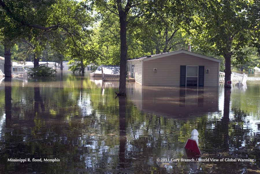 Trailer Park, North Memphis