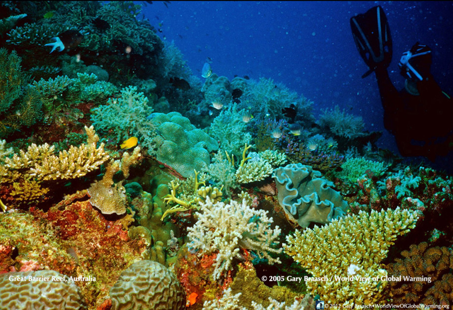 Great Barrier Reef, Australia off Townsville, a healthy reef system, but threatened by rising sea temperatures, rising sea level, and increasing acidification of ocean. 