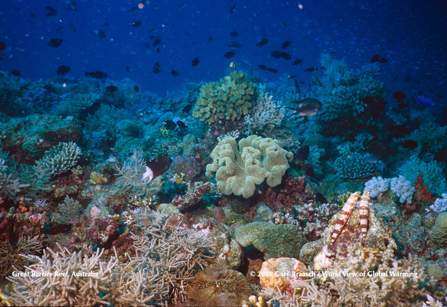 Great Barrier Reef, Australia off Townsville, example of healthy reef system threatened by temperature and chemistry change from greenhouse emissions. 