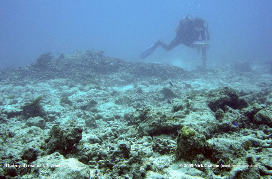 Only rubble remains on Sechelles Reef in 2005, failed to recover from severe bleaching from elevated sea temperatures ©Nick Graham University of Newcastle. Permission granted for educational use.