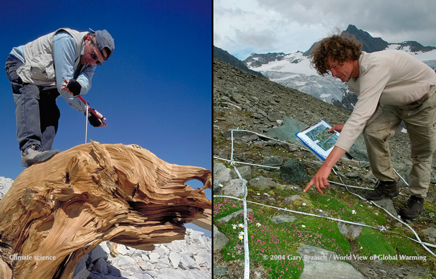 Coring old stump of bristlecone pine, California.  Detail of plots, record keeping of mountain plant study.