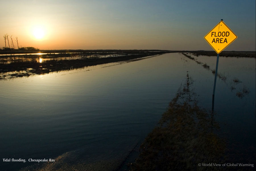 Coastal flooding on high tides at Blackwater National Wildlife Refuge, MD, Chesapeake Bay.