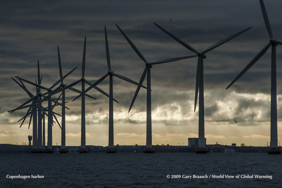 Off shore wind turbines in Copenhagen Harbor.