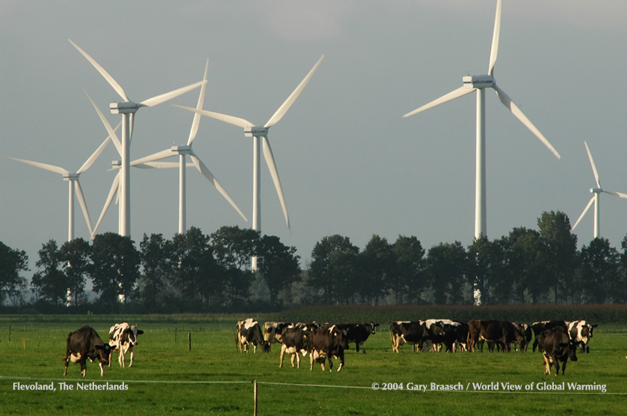 Wind Turbines over pastureland below sea level near Lelystad, Flevoland, The Netherlands (area of former Zuider Zee). 