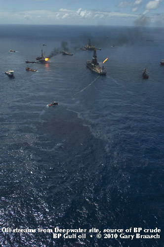 Gulf Oil Spill Photos