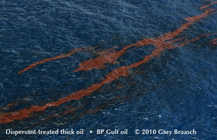 Gulf Oil Spill Photos