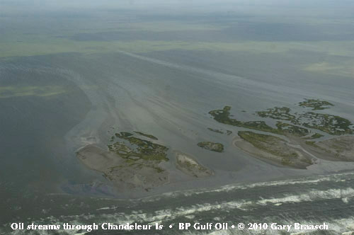 Gulf Oil Spill Photos