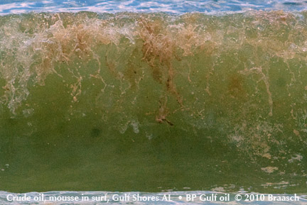 Gulf Oil Spill Photos