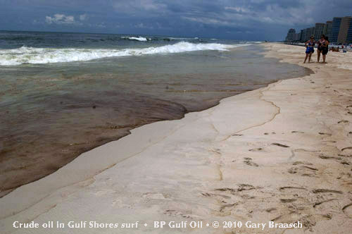 Gulf Oil Spill Photos