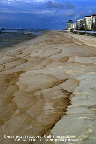 Gulf Oil Spill Photos