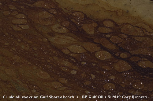 Gulf Oil Spill Photos