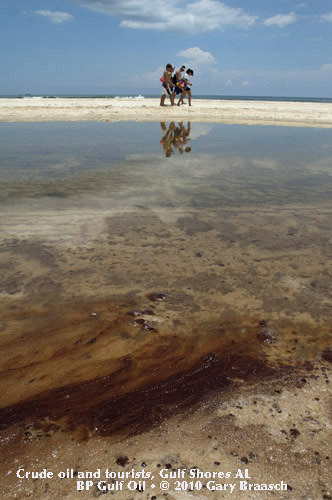 Gulf Oil Spill Photos