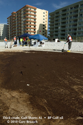 Gulf Oil Spill Photos