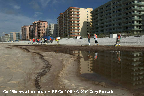 Gulf Oil Spill Photos