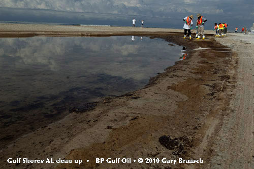 Gulf Oil Spill Photos