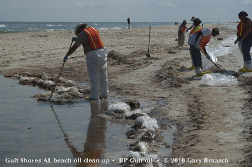 Gulf Oil Spill Photos