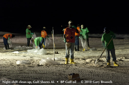 Gulf Oil Spill Photos