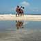 Gulf Oil Spill Photos