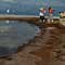 Gulf Oil Spill Photos