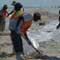 Gulf Oil Spill Photos