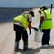 Gulf Oil Spill Photos