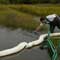 Gulf Oil Spill Photosmist net