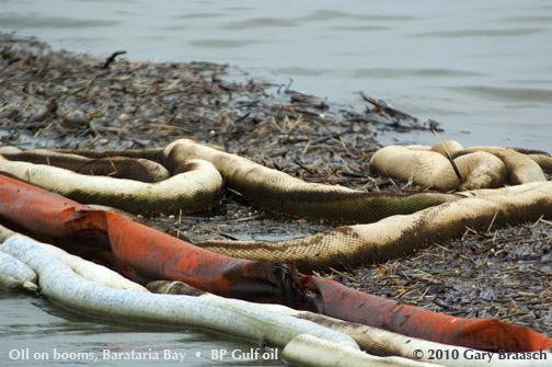 Gulf Oil Spill Photos