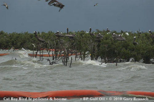 Gulf Oil Spill Photos