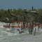 Gulf Oil Spill Photos