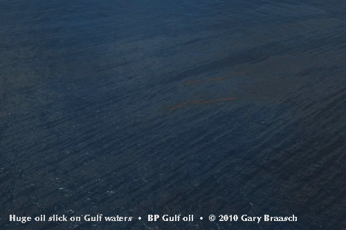 Gulf Oil Spill Photos