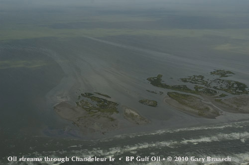 Gulf Oil Spill Photos
