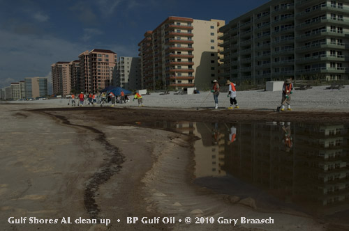 Gulf Oil Spill Photos
