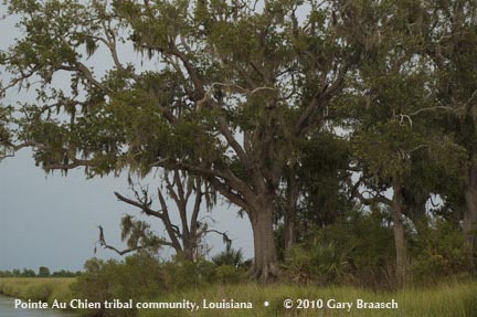 Louisiana Indian Tribes